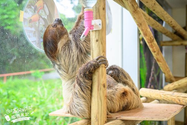 ▲▼沖繩名護自然動植物公園。（圖／部落客滿分的旅遊札記授權提供）