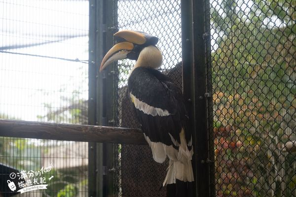 ▲▼沖繩名護自然動植物公園。（圖／部落客滿分的旅遊札記授權提供）