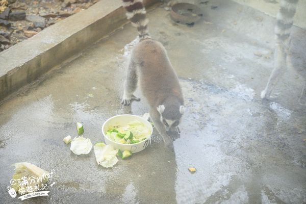 ▲▼沖繩名護自然動植物公園。（圖／部落客滿分的旅遊札記授權提供）