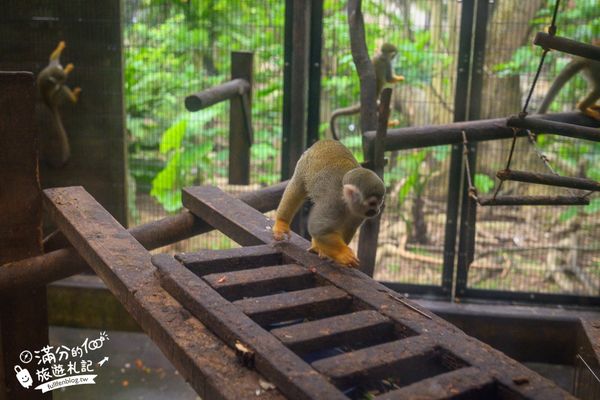 ▲▼沖繩名護自然動植物公園。（圖／部落客滿分的旅遊札記授權提供）