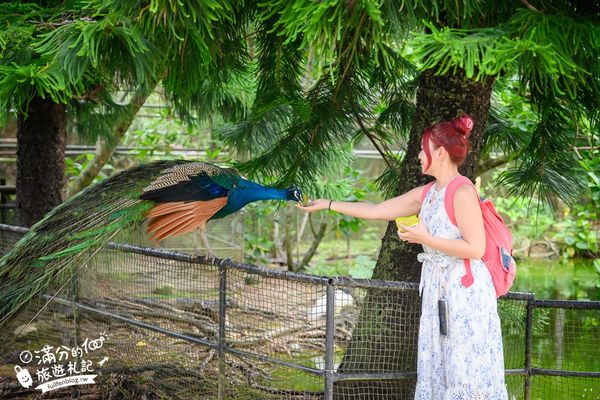 ▲▼沖繩名護自然動植物公園。（圖／部落客滿分的旅遊札記授權提供）