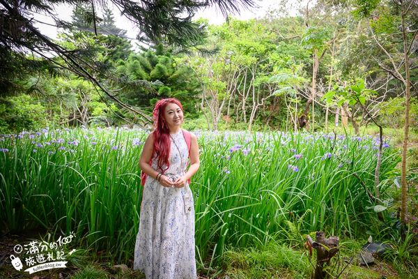 ▲▼沖繩名護自然動植物公園。（圖／部落客滿分的旅遊札記授權提供）