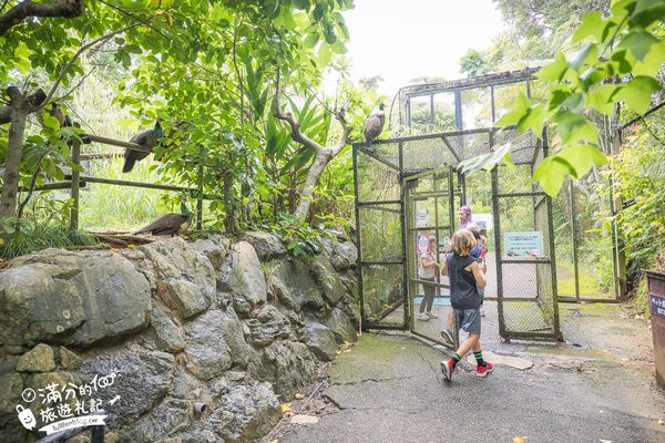 ▲▼沖繩名護自然動植物公園。（圖／部落客滿分的旅遊札記授權提供）