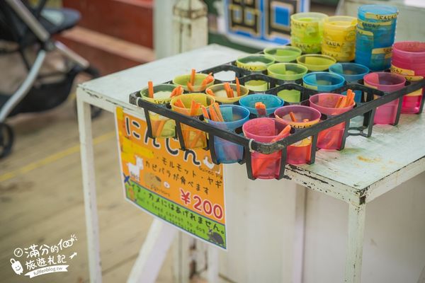 ▲▼沖繩名護自然動植物公園。（圖／部落客滿分的旅遊札記授權提供）