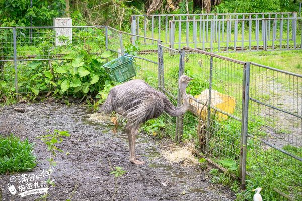 ▲▼沖繩名護自然動植物公園。（圖／部落客滿分的旅遊札記授權提供）