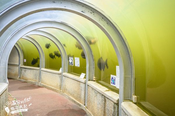 ▲▼沖繩名護自然動植物公園。（圖／部落客滿分的旅遊札記授權提供）