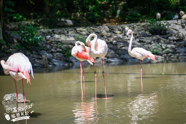 ▲▼沖繩名護自然動植物公園。（圖／部落客滿分的旅遊札記授權提供）