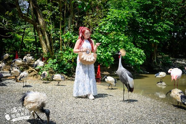 ▲▼沖繩名護自然動植物公園。（圖／部落客滿分的旅遊札記授權提供）