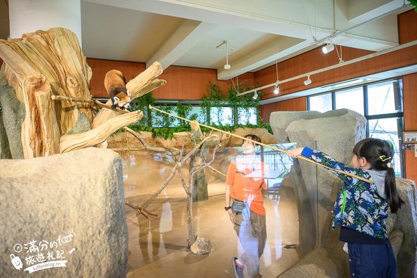 ▲▼沖繩名護自然動植物公園。（圖／部落客滿分的旅遊札記授權提供）