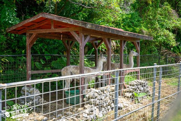 ▲▼沖繩名護自然動植物公園。（圖／部落客滿分的旅遊札記授權提供）