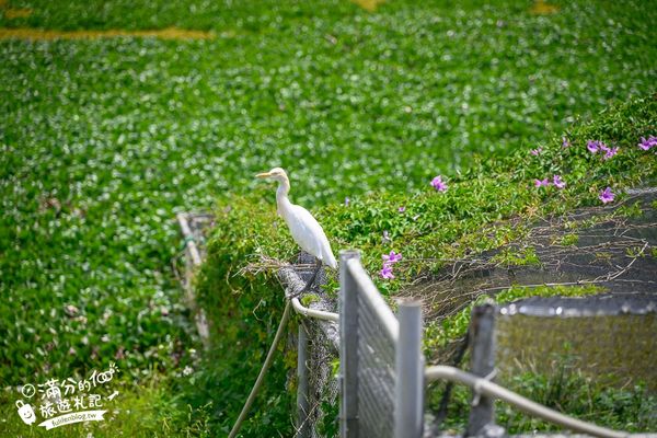 ▲▼沖繩名護自然動植物公園。（圖／部落客滿分的旅遊札記授權提供）