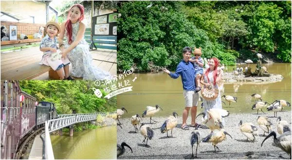 ▲▼沖繩名護自然動植物公園。（圖／部落客滿分的旅遊札記授權提供）