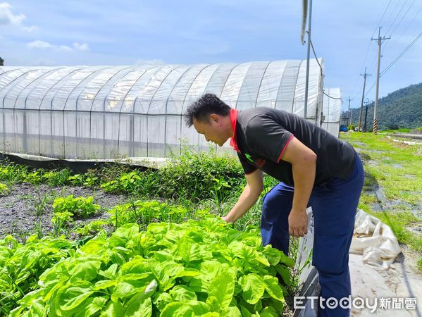 ▲空軍退役投身農田。（圖／記者楊晨東翻攝）