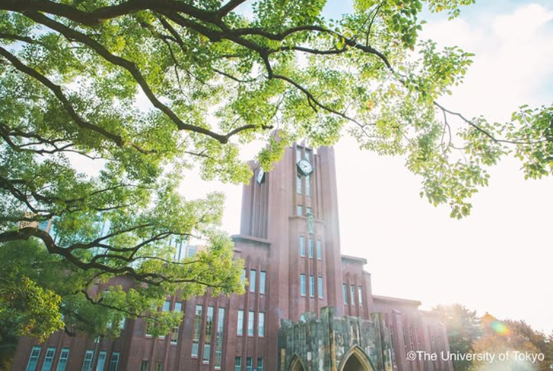 東京大學宣布「願接收哈佛國際生」！　還提供學分認證