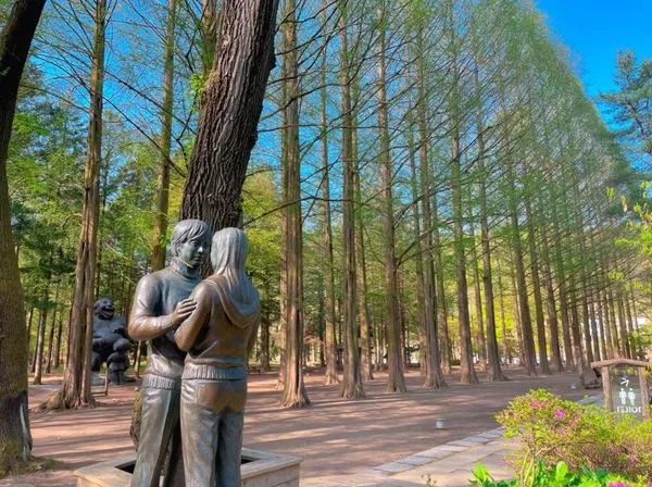 ▲▼南怡島 。（圖／KKday提供）