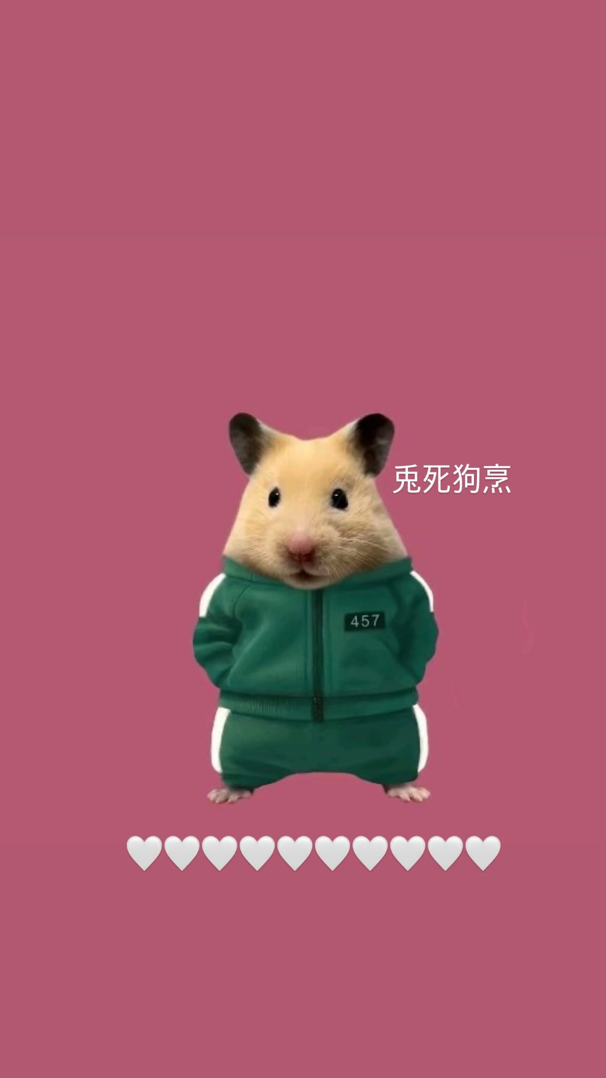 ▲▼宇宙少女多榮嗆經紀公司「兔死狗烹」！刪文截圖曝光。（圖／翻攝自Instagram／dayomi99）