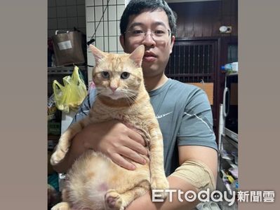 奴才捐血被告知「不能搬重物」 抱自家大肚橘貓:7.7公斤算嗎?