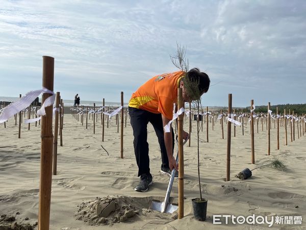 ▲▼   嘉義長庚實踐ESG精神 百人齊聚布袋好美里淨灘植樹 用行動守護海岸環境。（圖／嘉義長庚醫院提供）