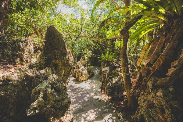 ▲▼觀海樓「GADUGADU Brunch」（圖／部落客黑皮的旅遊筆記授權提供）