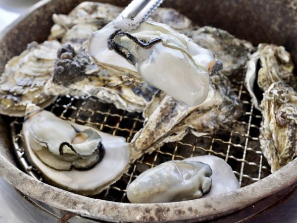 ▲▼嘉義東石烤蚵一條街。（圖／嘉義縣政府文化觀光局提供）