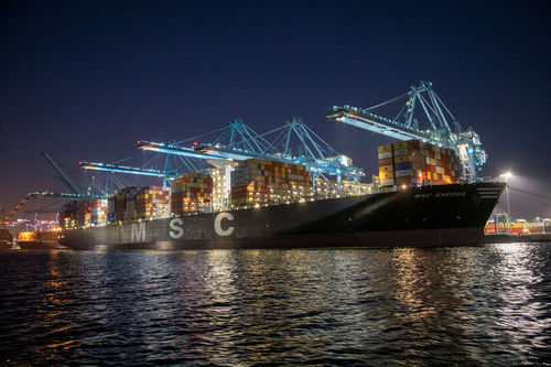 MSC傳出非單純買船　可能買的是韓國長錦商船貨櫃航線經營權