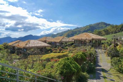 夏日阿里山玩法！石頭屋喝咖啡看山景