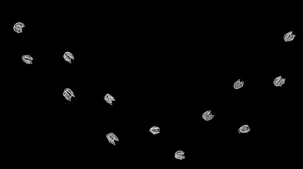 ▲▼《航海王》真人版第2季先公開特別預告。（圖／翻攝自X）