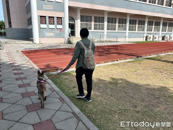 ▲屏縣動保條例今起上路，遛狗不繫繩最高開罰1萬5            。（圖／屏東縣政府農業處提供）