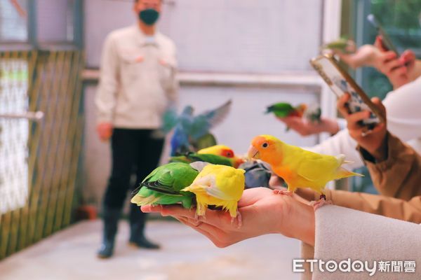 ▲鳳凰谷鳥園「水土永續嘉年華」5月30日登場，免費開放入園。（圖／國立自然科學博物館提供）