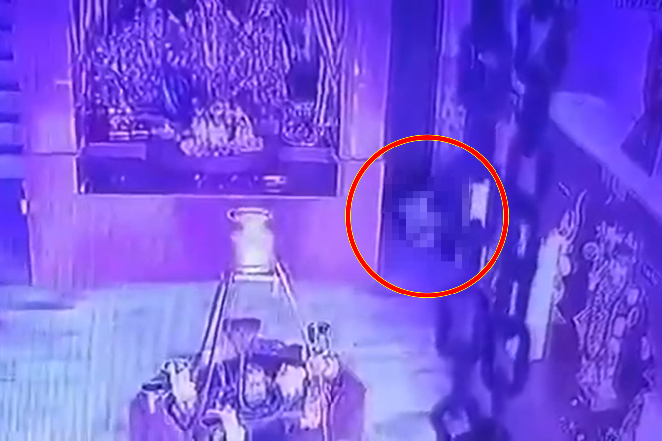 ▲▼             。（圖／翻攝自X）