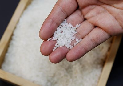 給帳號只為換1包米? 無業女申請補助遇詐衰變被告