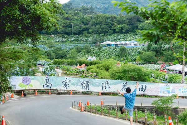 ▲▼高家繡球花田第三園區。（圖／部落客黑皮的旅遊筆記授權提供）