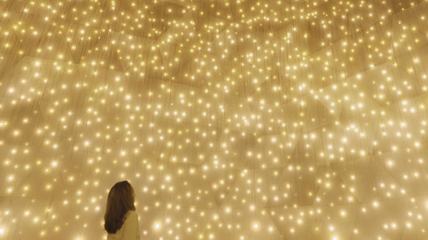 ▲▼京都新景點「teamLab BioVortex Kyoto」。（圖／チームラボバイオヴォルテックス京都」京都©チームラボ）