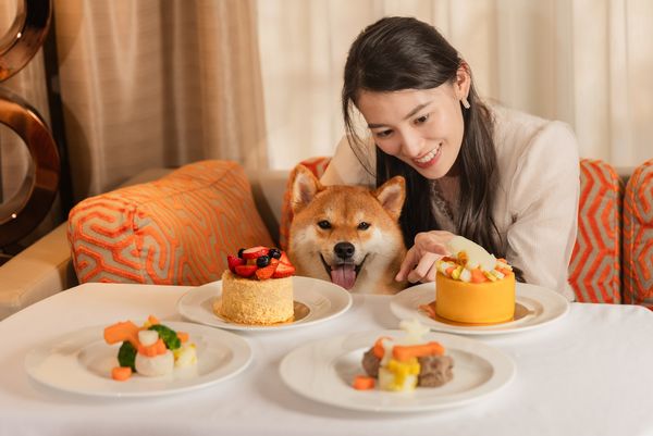 ▲台北君悅酒店深耕寵物旅宿市場多年，將從6月1日起升級「寵愛毛小孩」住房專案。（圖／台北君悅酒店提供）