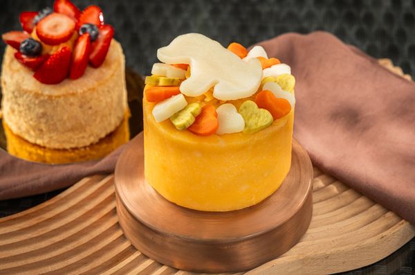 ▲台北君悅酒店深耕寵物旅宿市場多年，將從6月1日起升級「寵愛毛小孩」住房專案。（圖／台北君悅酒店提供）