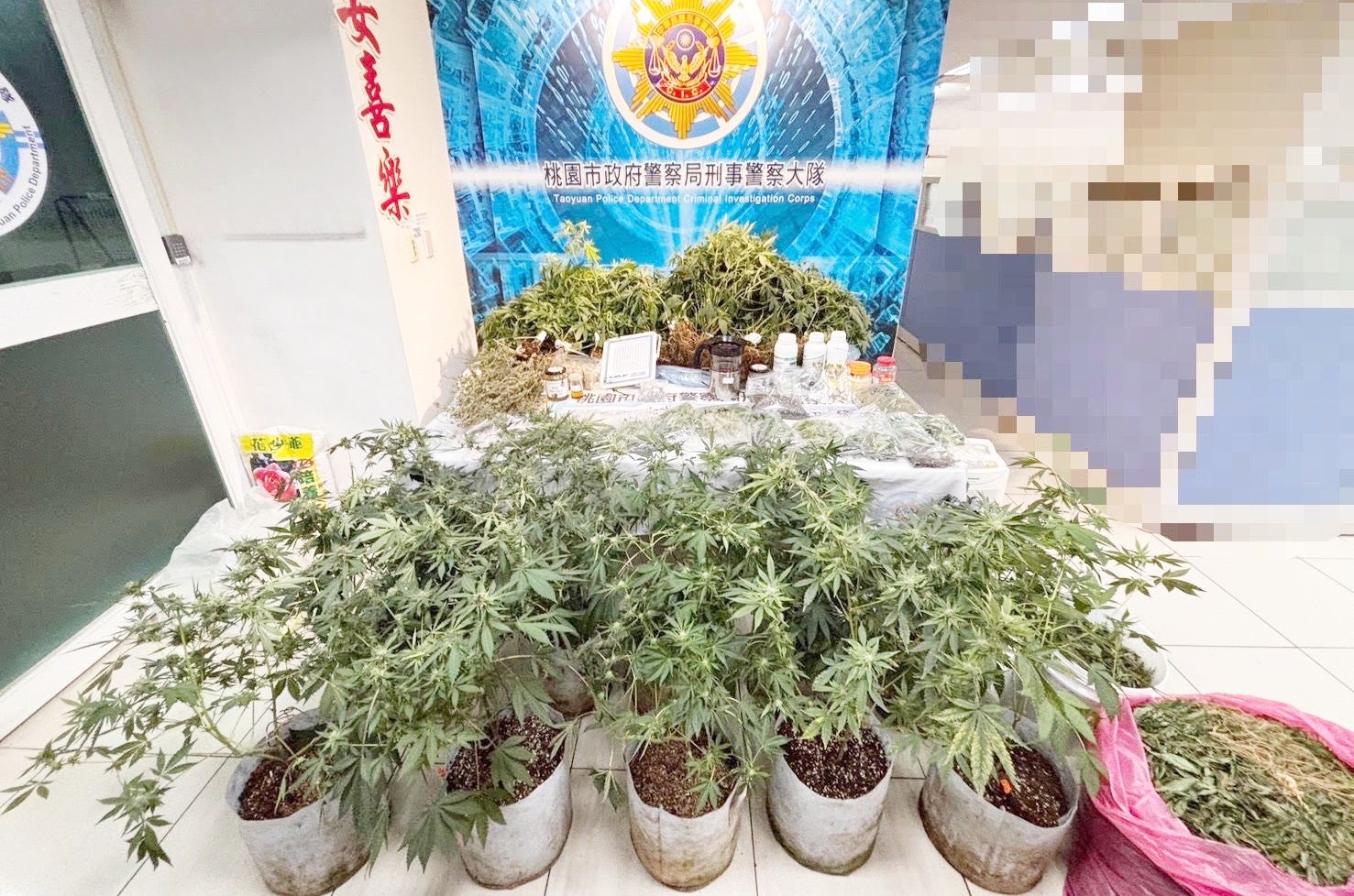 ▲桃園市警局刑大會同蘆洲警分局19日在新北市某處偏僻山區貨櫃屋查獲大麻工廠等大批證物。（圖／桃園市警局刑大提供）
