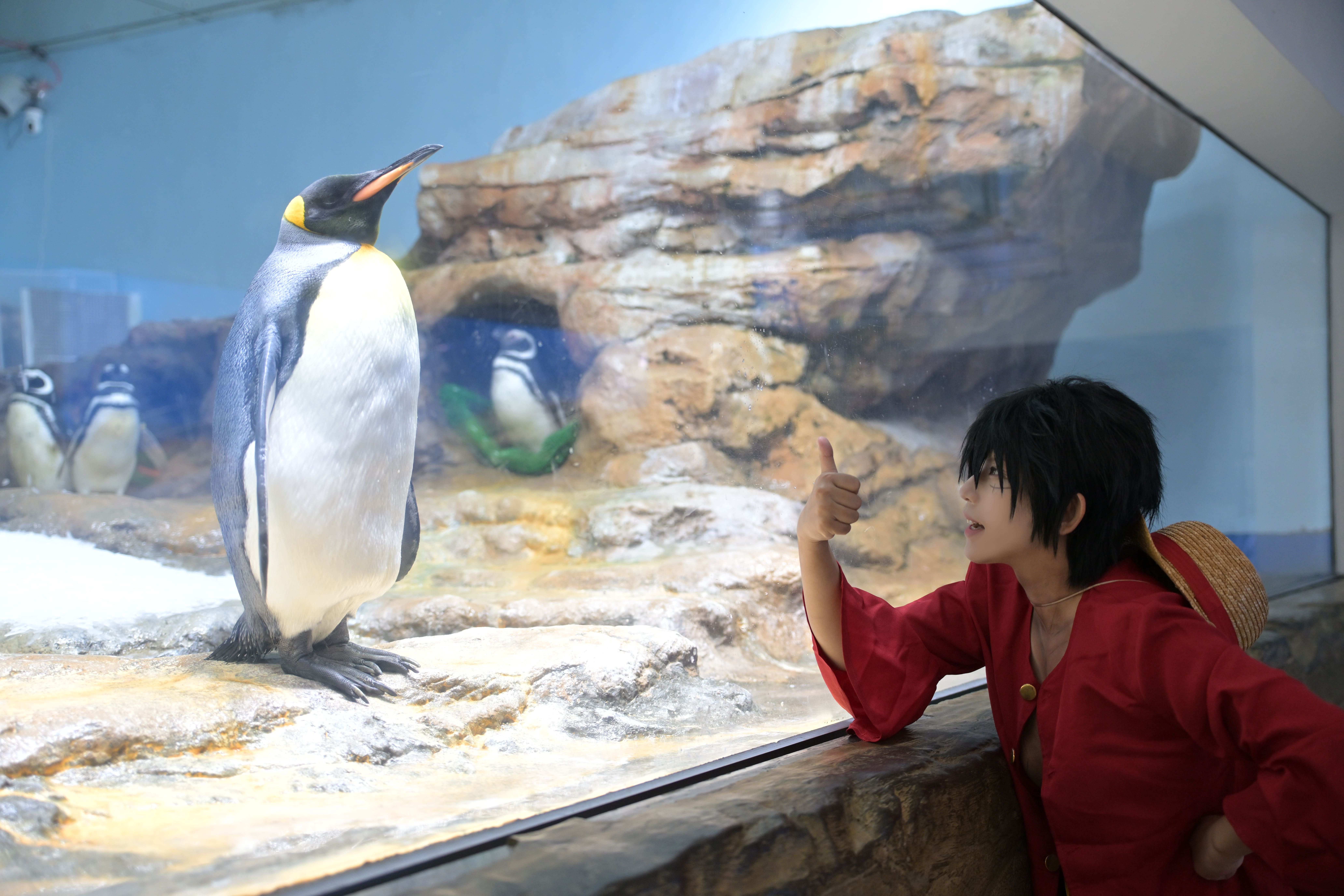 ▲▼桃園,變裝,端午,Xpark,青埔置地廣場,親子,COSPLAY,SAKURA GRADUATION,手信霧隱城。（圖／桃園市政府觀光旅遊局提供）