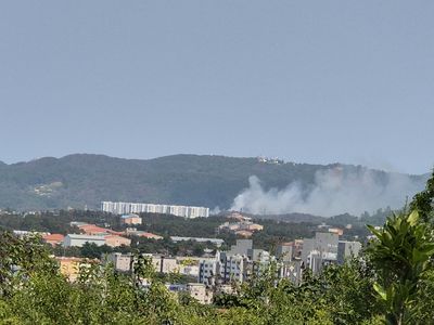 快訊／南韓P-3C反潛機墜毀　機上4人恐「全數死亡」