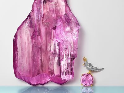Tiffany收購超巨孔賽石原石　切出10顆寶石供藏家訂製石上鳥
