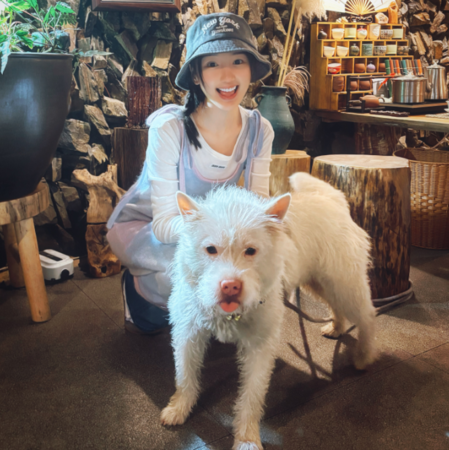 ▲女星毛曉彤飼養的下司犬。（圖／翻攝自微博）