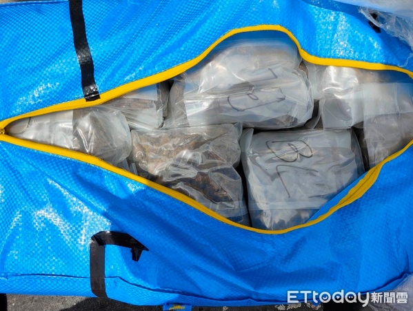 ▲海巡署29日公布破獲台南漁船密艙藏毒案，查獲逾400公斤大麻毒品。（記者林東良翻攝，下同）