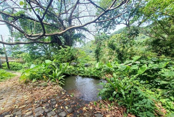 ▲陽明山間的溪山社區「溪山百年古圳」。（圖／大地處提供）