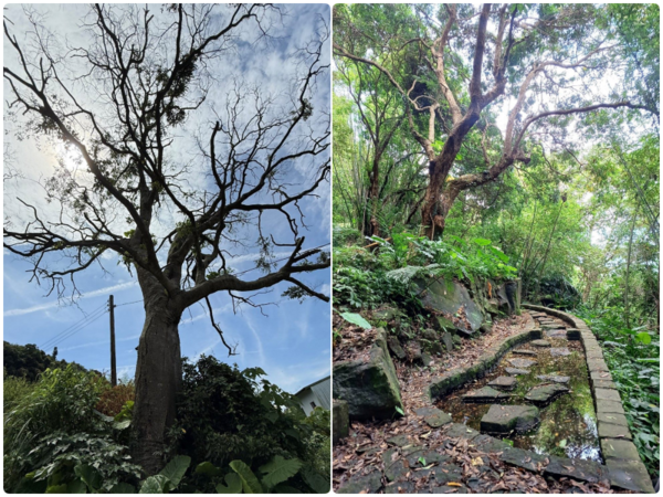 ▲陽明山間的溪山社區「溪山百年古圳」。（圖／大地處提供）