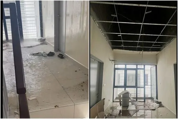 ▲▼             。（圖／翻攝自星洲網）