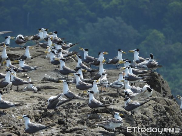 ▲海上看莒光。（圖／東莒船老大民宿提供）