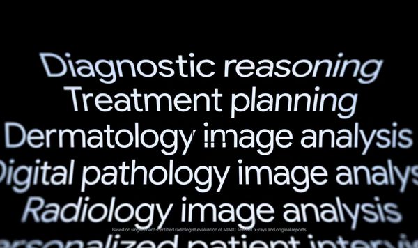 ▲▼MedGemma。（圖／Google）