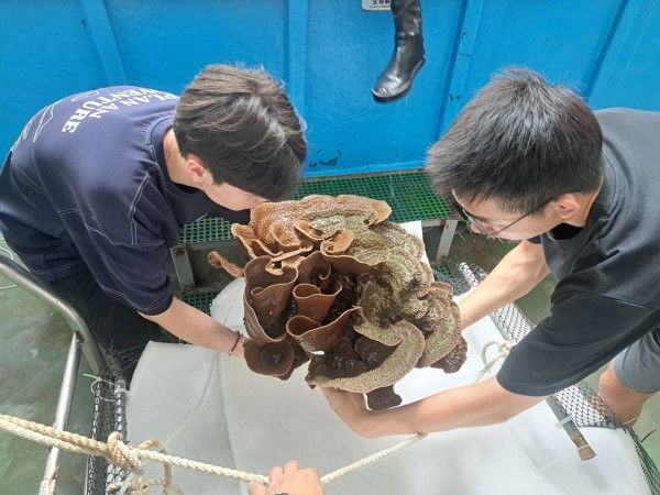 ▲（圖／翻攝自國立海洋生物博物館官網）