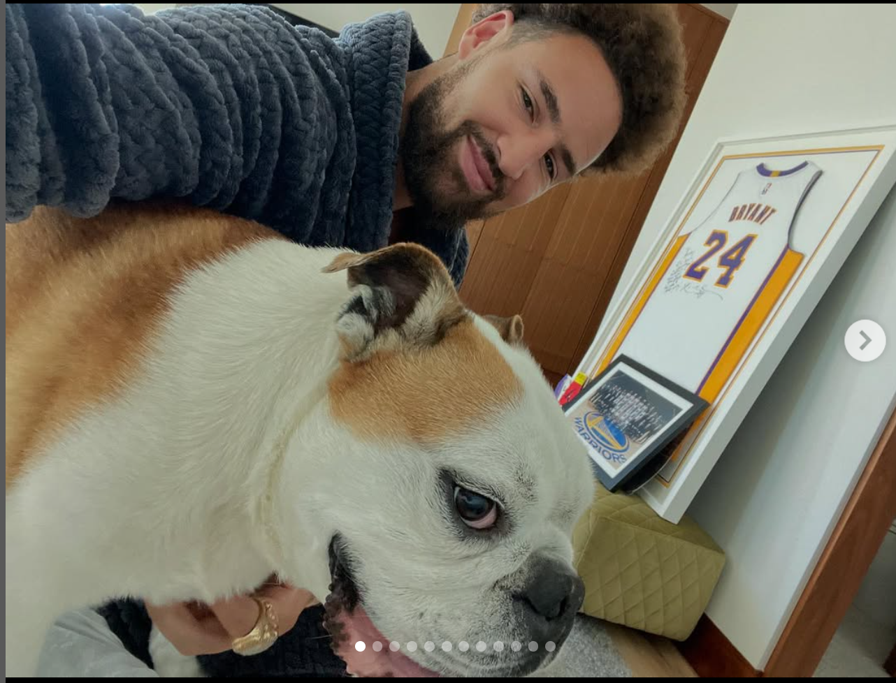 ▲▼前灣區4冠神射湯普森的愛犬Rocco離世。（圖／翻攝自IG／klaythompson）