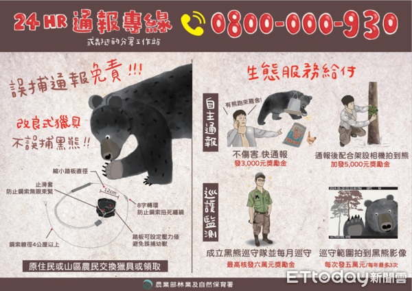 ▲▼    新高口兩年五度拍到黑熊 鄒族獵人協會獲獎勵金肯定   。（圖／農業部林業及自然保育署嘉義分署提供）