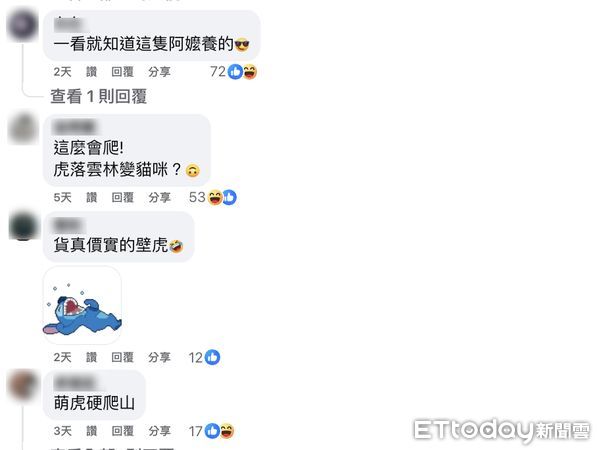 ▲虎科大校門裝置藝術「爬牆虎」，外形圓潤可愛，網友暱稱為「壁虎」、「胖橘」甚至「阿嬤養的」。（圖／記者游瓊華翻攝）